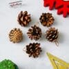 eCraftIndia Natural Pine Cone for Christmas Tree Decoration (Pack of 6) | Christmas Ornaments Props | Christmas Decorations Items for Home Office| Christmas Gifts.